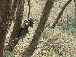 Sentiero Spirito del Bosco