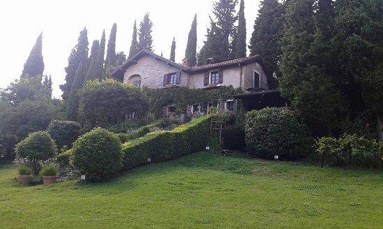Isola dei Cipressi