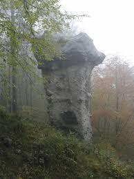Funghi di terra di Rezzago