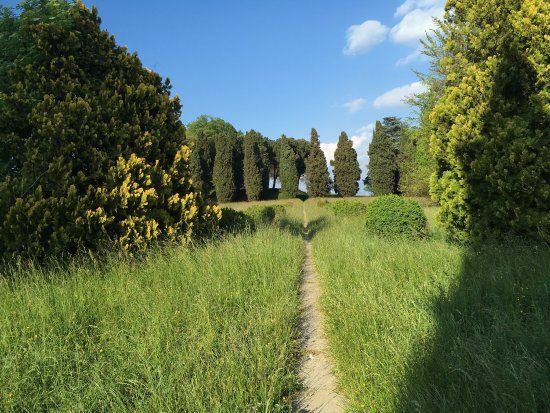 Tenuta Pomelasca